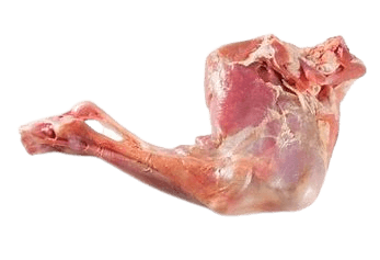 Goat Leg