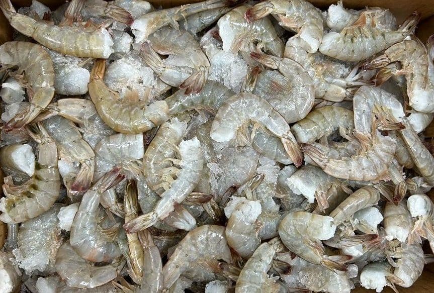 Shrimp (Head-Off)
