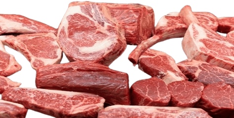 Buffalo with Bone