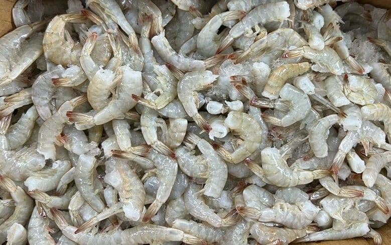 Small Shrimp